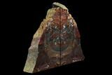 Red/Green Jasper Replaced Petrified Wood Bookends - Oregon #125075-2